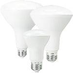LED Flood bulbs from /