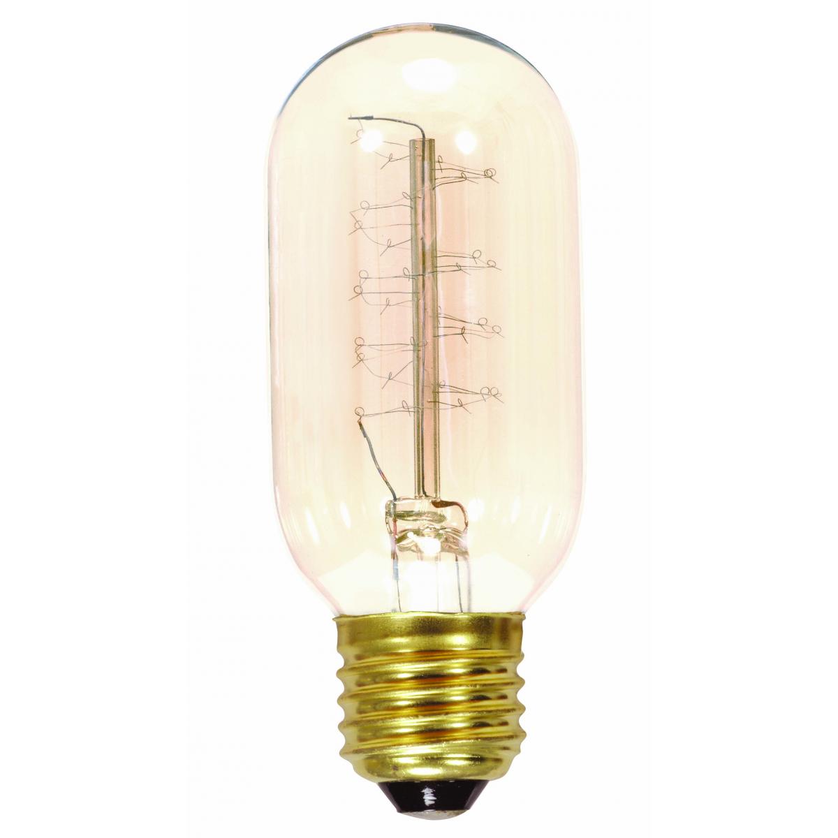 image of 40 Watt T14 Incandescent - Clear - 3000 Average rated hours - 160 Lumens - Medium base - 120 Volt