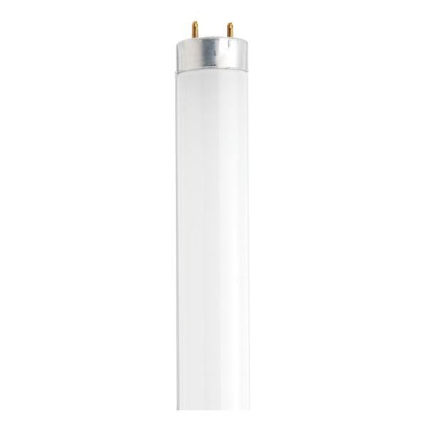 18 Watt - T8 - 26 Inch Cool White Fluorescent