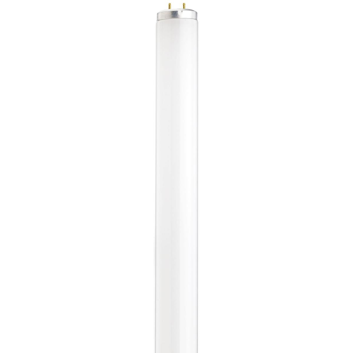image of 14 Watt - T12 Preheat Fluorescent - 4100K Cool White - 80 CRI - Medium Bi Pin