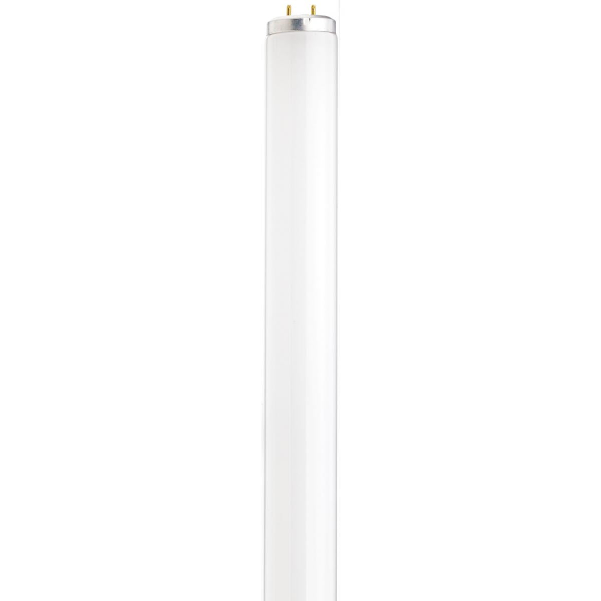 image of 40 Watt - 48 Inch Fluorescent T12 - 5000K - Daylight - Medium Bi-Pin Base