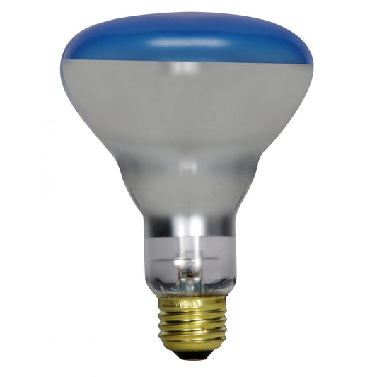 image of 150 Watt R30 Incandescent - Grow - 2000 Average rated hours - Medium base - 120 Volt