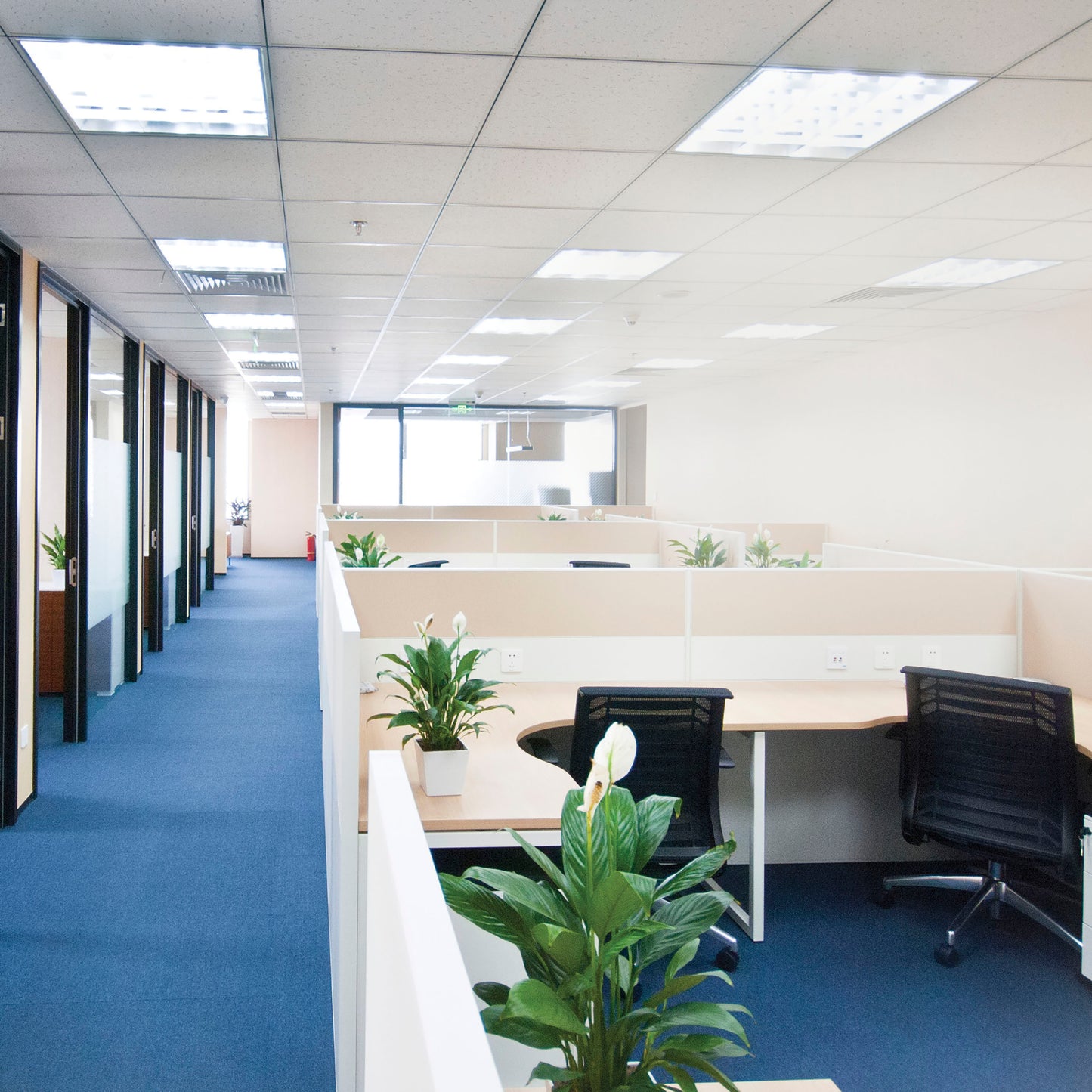 image of 8 Watt - 2 Foot LED T8 - Medium Bi Pin base - 3000K - 50000 Average rated hours - 1250 Lumens - Type A - Ballast dependent