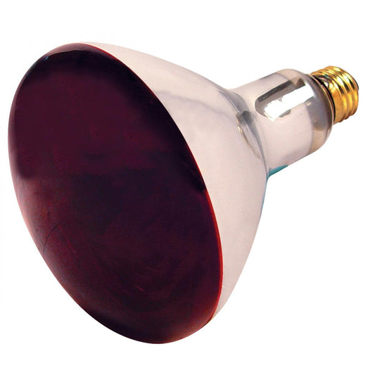 image of 250 Watt R40 Incandescent - Red Heat - 6000 Average rated hours - Medium base - 120 Volt