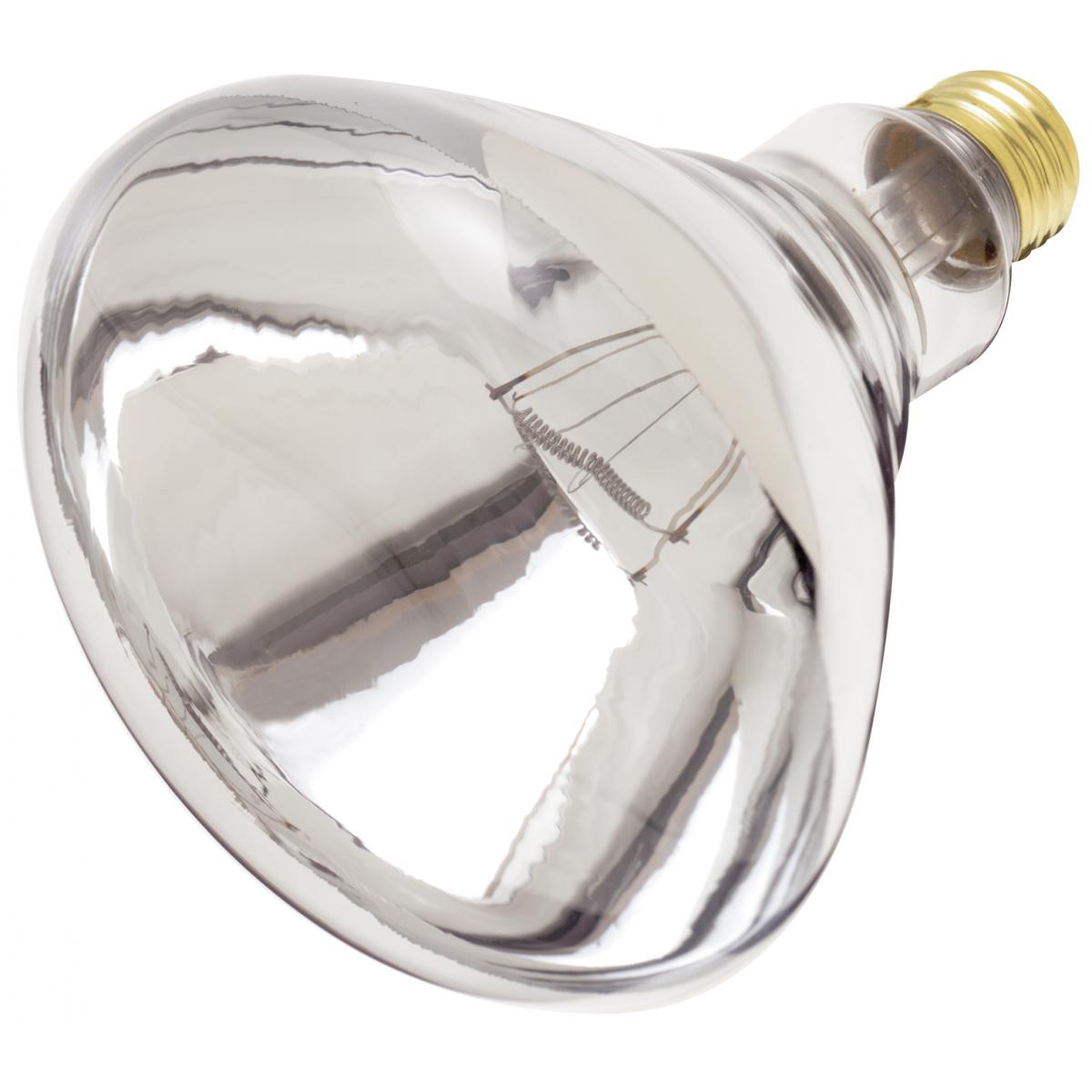 image of 250 Watt R40 Incandescent - Clear Heat - 6000 Average rated hours - Medium base - 120 Volt
