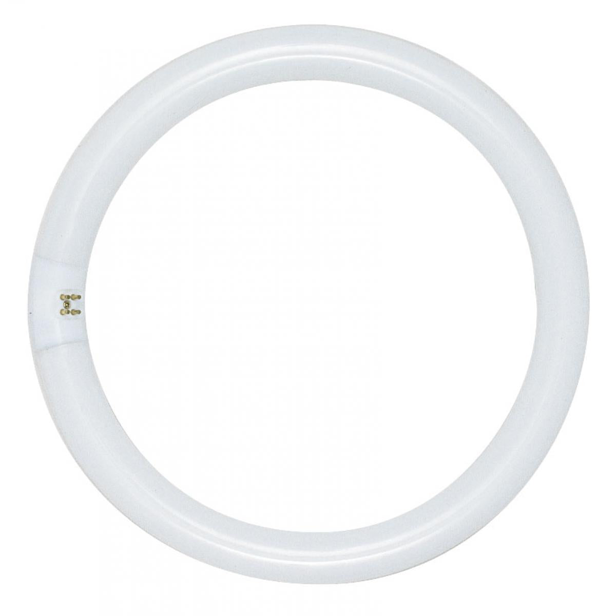 image of 22 Watt - T9 - Circline Fluorescent - 4100K Cool White - 62 CRI - 4-Pin base
