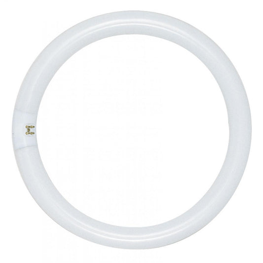 image of 32 Watt - T9 - Circline Fluorescent - 4100K Cool White - 62 CRI - 4-Pin base