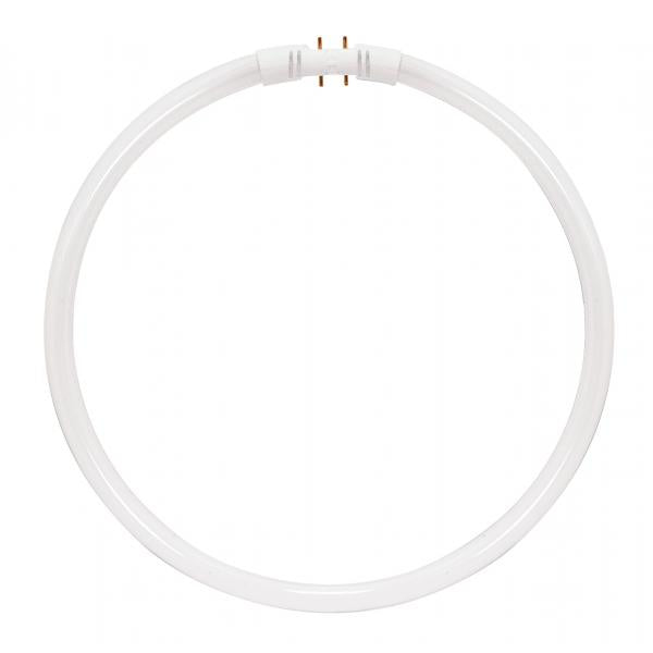 40 Watt - T5 - Circline Fluorescent - 3000K Warm White - 82 CRI - 2GX13 (4-Pin) base