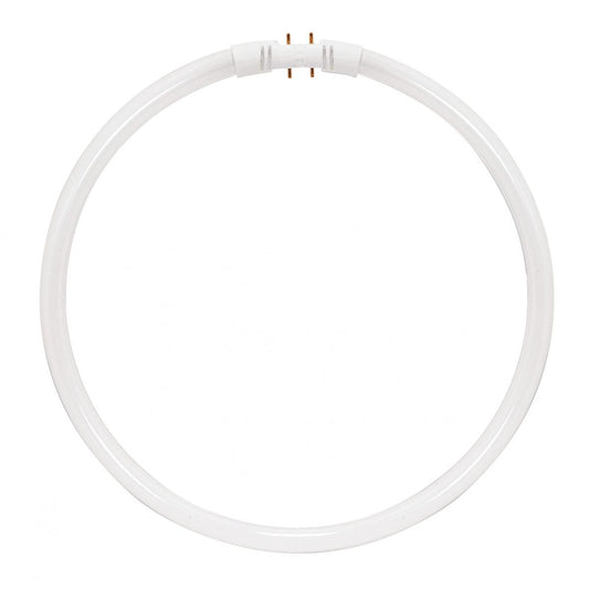 image of 40 Watt - T5 - Circline Fluorescent - 4100K Cool White - 82 CRI - 2GX13 (4-Pin) base