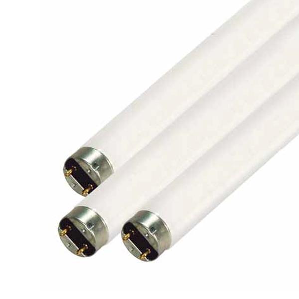 Linear Fluorescent Tube Bulbs
