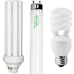 Fluorescent Light Bulbs