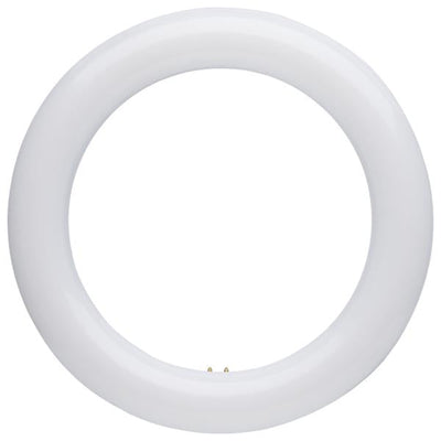 LED Circline Bulbs