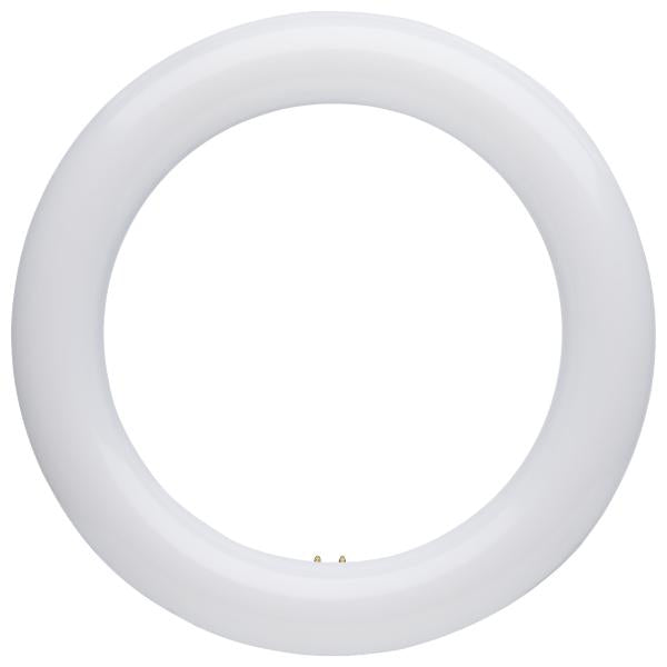 LED Circline Bulbs
