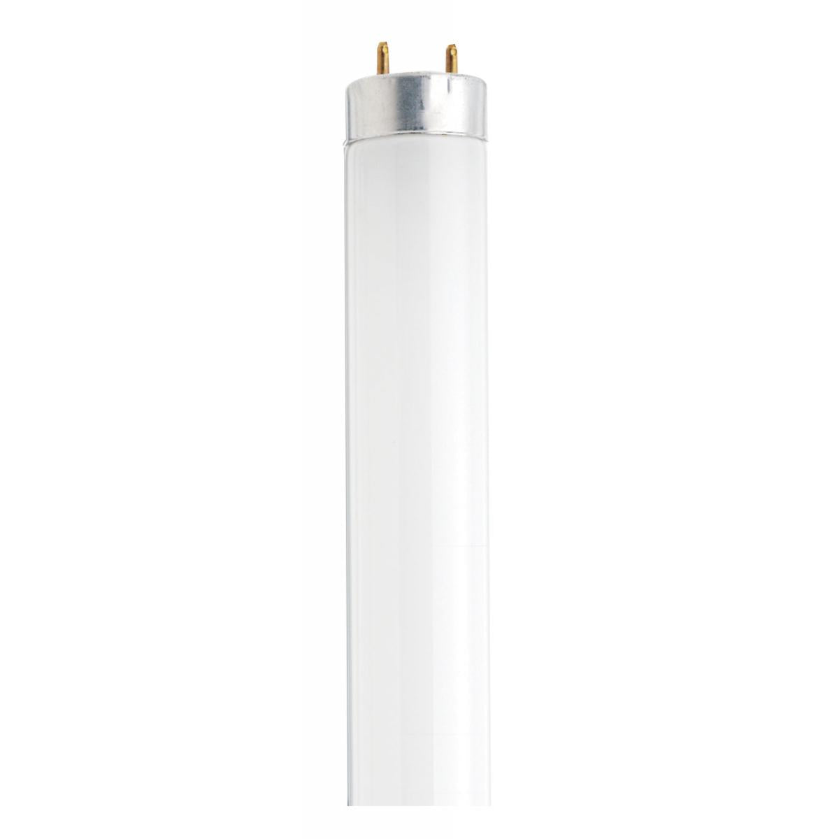 Linear Tube Lights
