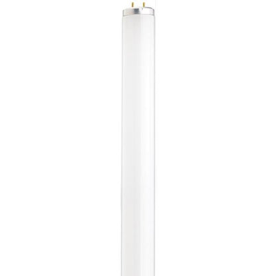 T12 Linear High Lumen from /