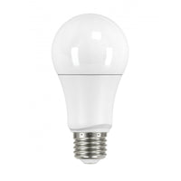 A19 LED