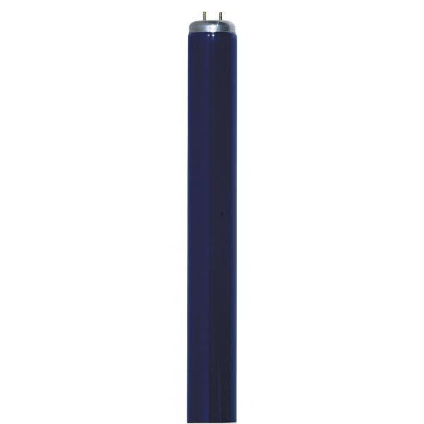 T12 Blacklight