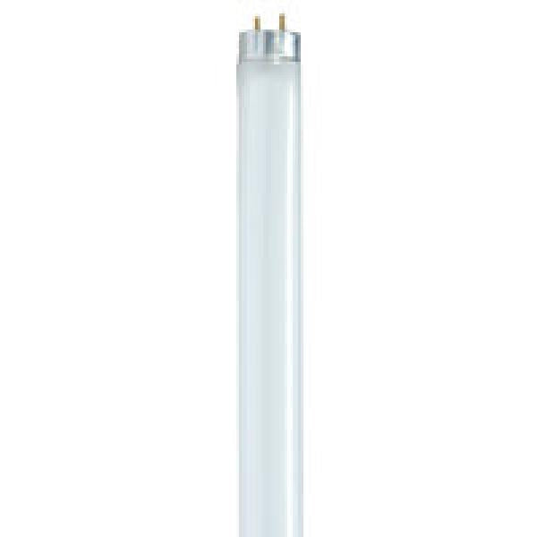 T8 Tubes Lights