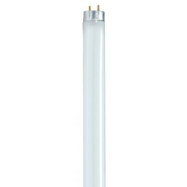 T8 Linear Reduced Wattage