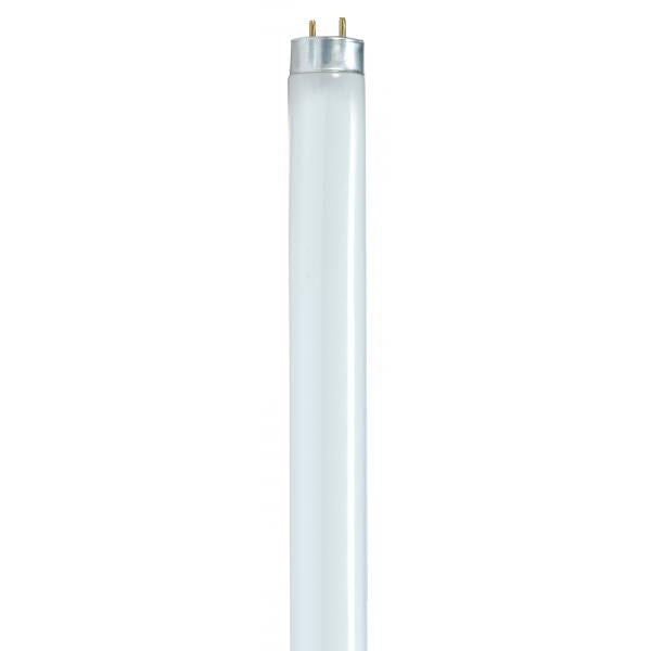 T8 Linear High Lumen