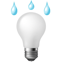 Outdoor Rated Light Bulbs