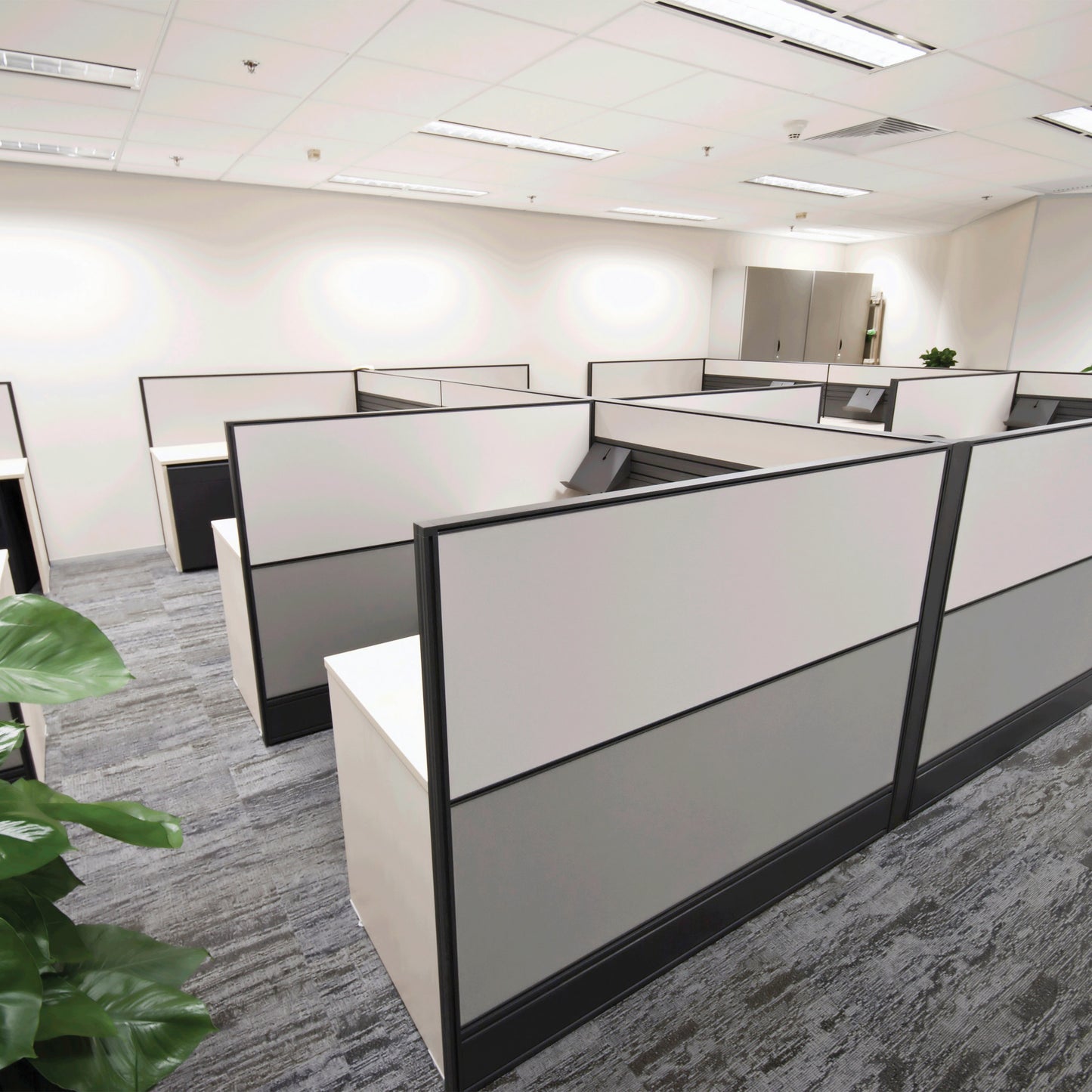 image of 9.5 Watt - 4 Foot - T8 LED - Medium bi-pin base - 3500K - 50000 Average rated hours - 1740 Lumens - Type A - Ballast dependent