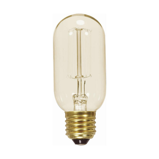 image of 40 Watt T14 Incandescent - Clear - 3000 Average rated hours - 160 Lumens - Medium base - 120 Volt