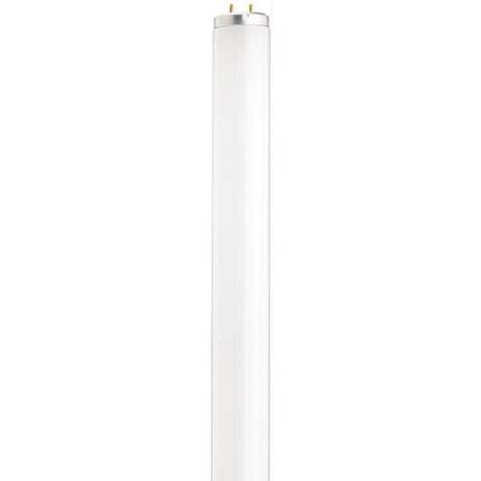 20 Watt - Fluorescent T12 - 4100K - Medium Bi-pin (G13) Base