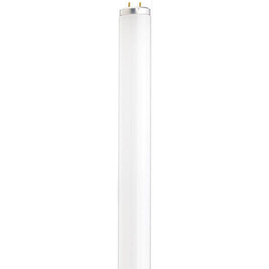 image of 40 Watt - 48 Inch Fluorescent T12 - 5000K - Daylight - Medium Bi-Pin Base