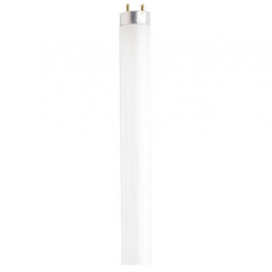 32 Watt - T8 - Fluorescent - 4100K Cool White - 85 CRI - Medium Bi Pin base