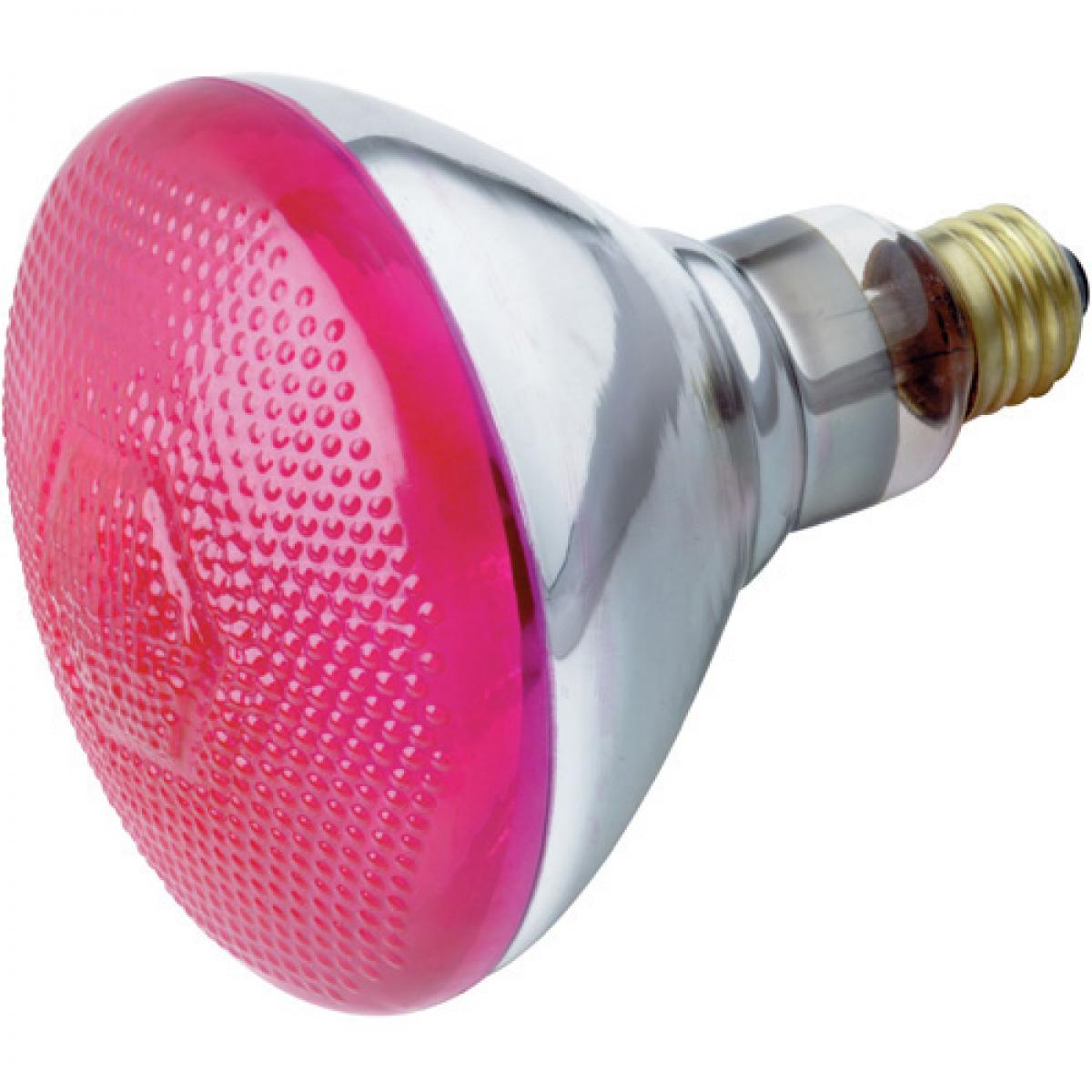 100 Watt BR38 Incandescent - 2000 Average rated hours - Medium base - 120 Volt