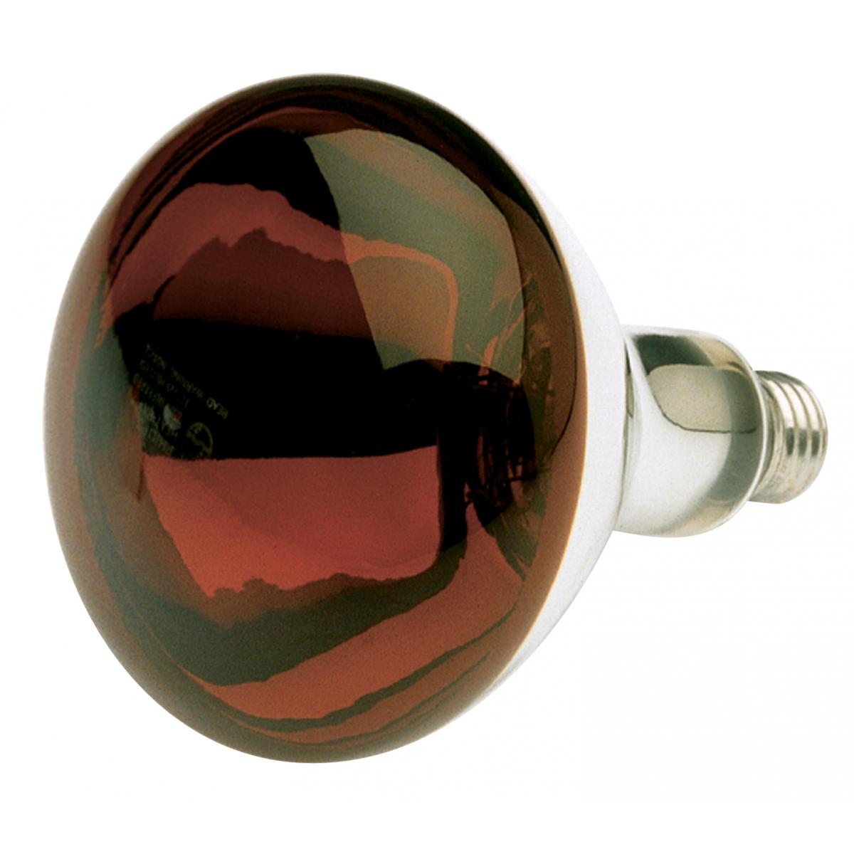 Bulbs and Lighting | 250 Watt R40 Incandescent - Red Heat - 6000 ...