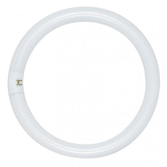 32 Watt - T9 - Circline Fluorescent - 4100K Cool White - 62 CRI - 4-Pin base