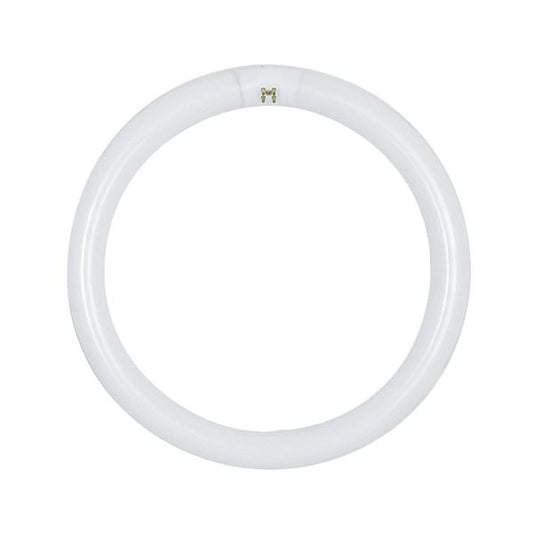 32 Watt - T9 - Circline Fluorescent - 6500K Daylight - 76 CRI - 4-Pin base