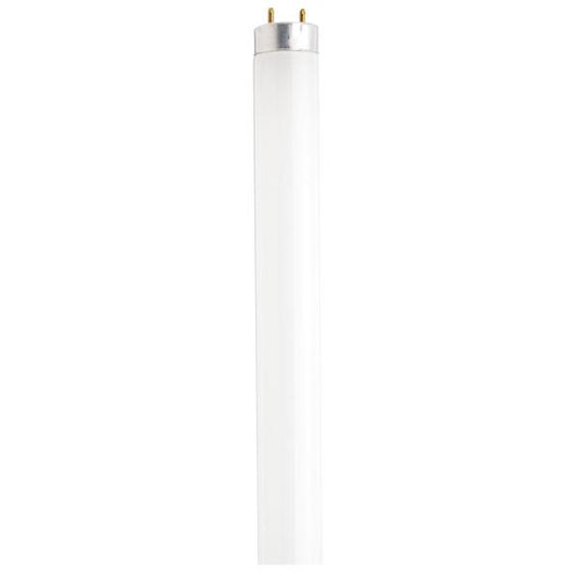 40 Watt - T8 - Fluorescent - 4100K Cool White - 82 CRI - Medium Bi Pin base