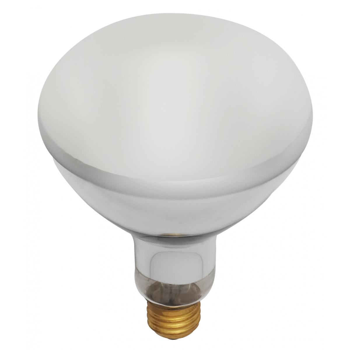 image of 500 Watt BR40 Incandescent - Frost - 2000 Average rated hours - 5500 Lumens - Medium base - 130 Volt
