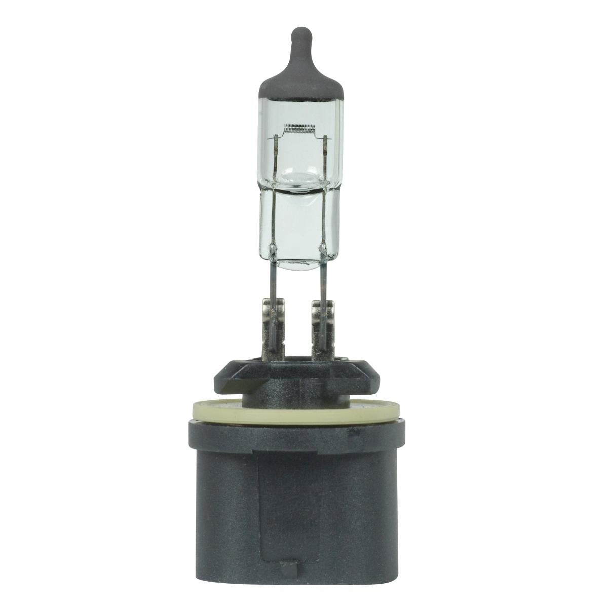 image of 27 Watt miniature - T3 1/4 - 300 Average rated hours - PG12 base - Black crown - 12.8 Volt