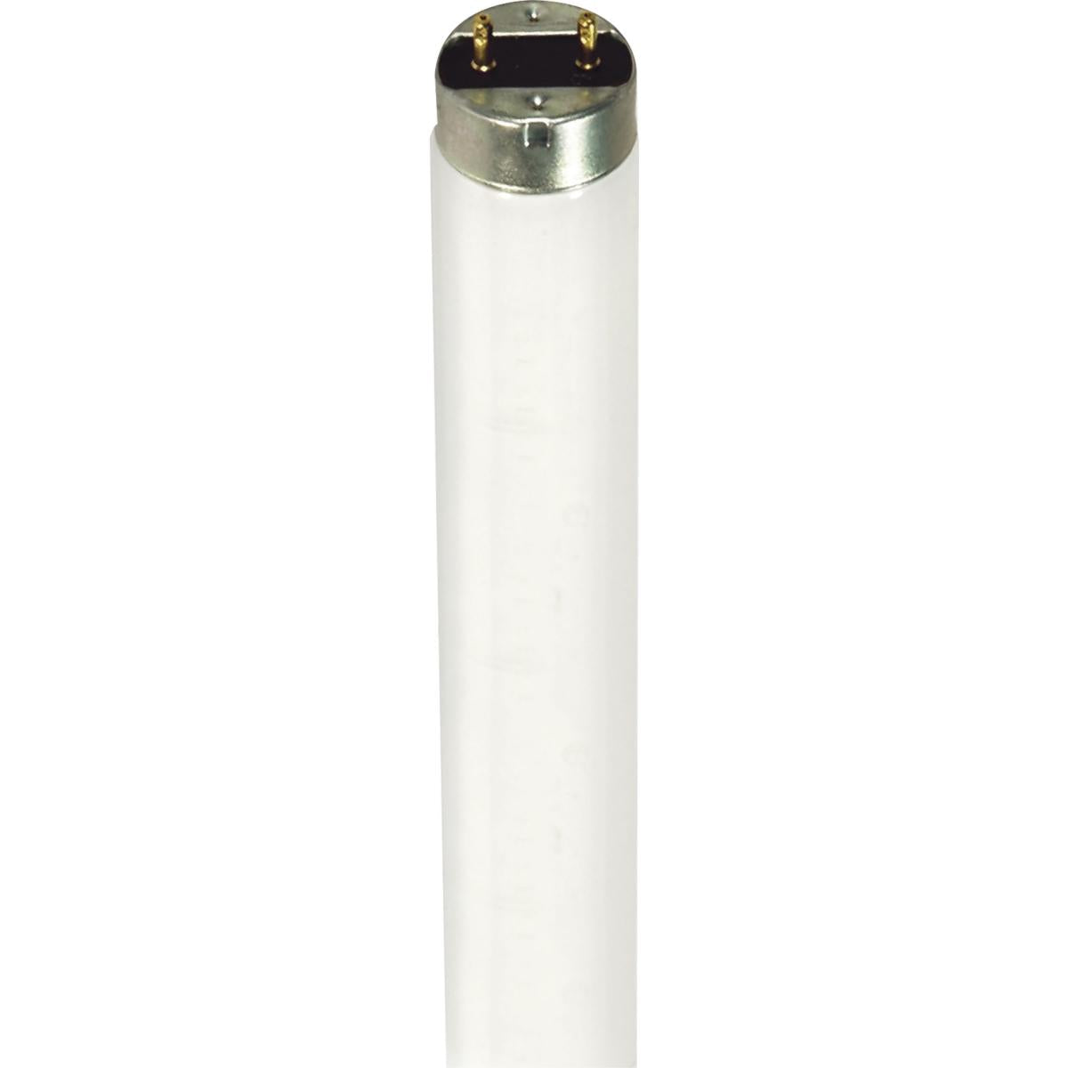 image of 32 Watt - T8 - Fluorescent - 4100K Cool White - Medium Bi Pin base - TF Shatter Proof