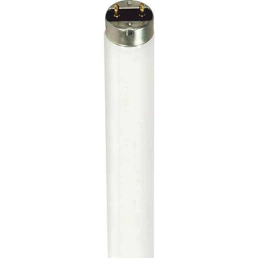 image of 32 Watt - T8 - Fluorescent - 4100K Cool White - Medium Bi Pin base - TF Shatter Proof