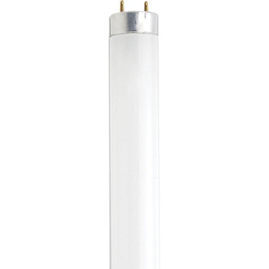 13 Watt - 12 Inch Fluorescent T8 - 4100K - Cool White - Medium Bi Pin base
