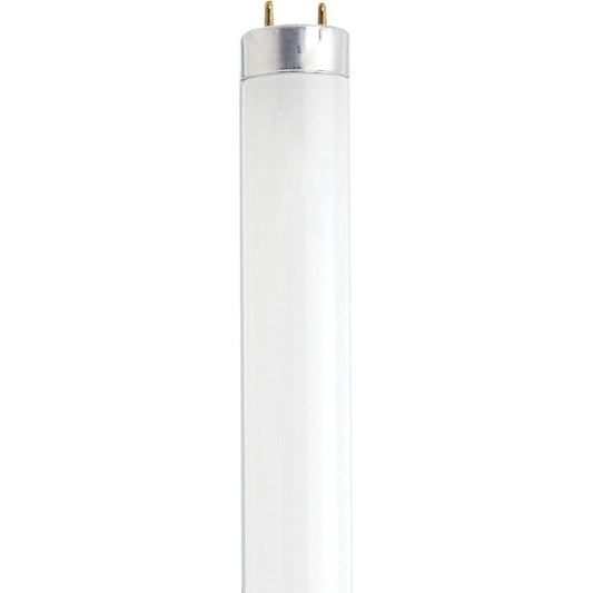 image of 13 Watt - 12 Inch Fluorescent T8 - 4100K - Cool White - Medium Bi Pin base
