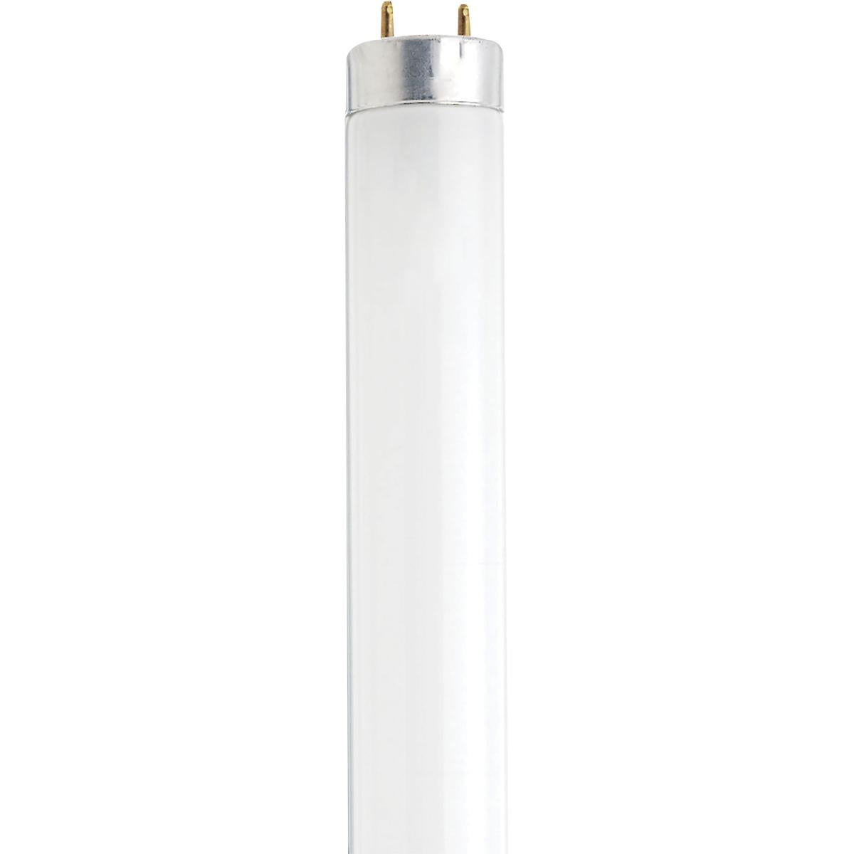 image of 13 Watt - 12 Inch Fluorescent T8 - 4100K - Cool White - Medium Bi Pin base