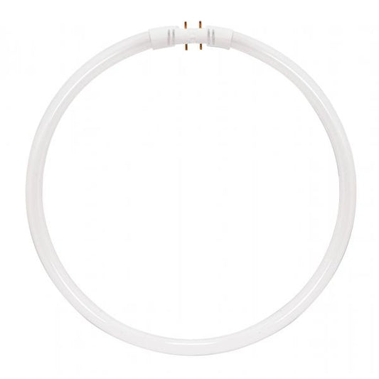 22 Watt - T5 - Circline Fluorescent - 4100K Cool White - 82 CRI - 2GX13 (4-Pin) base