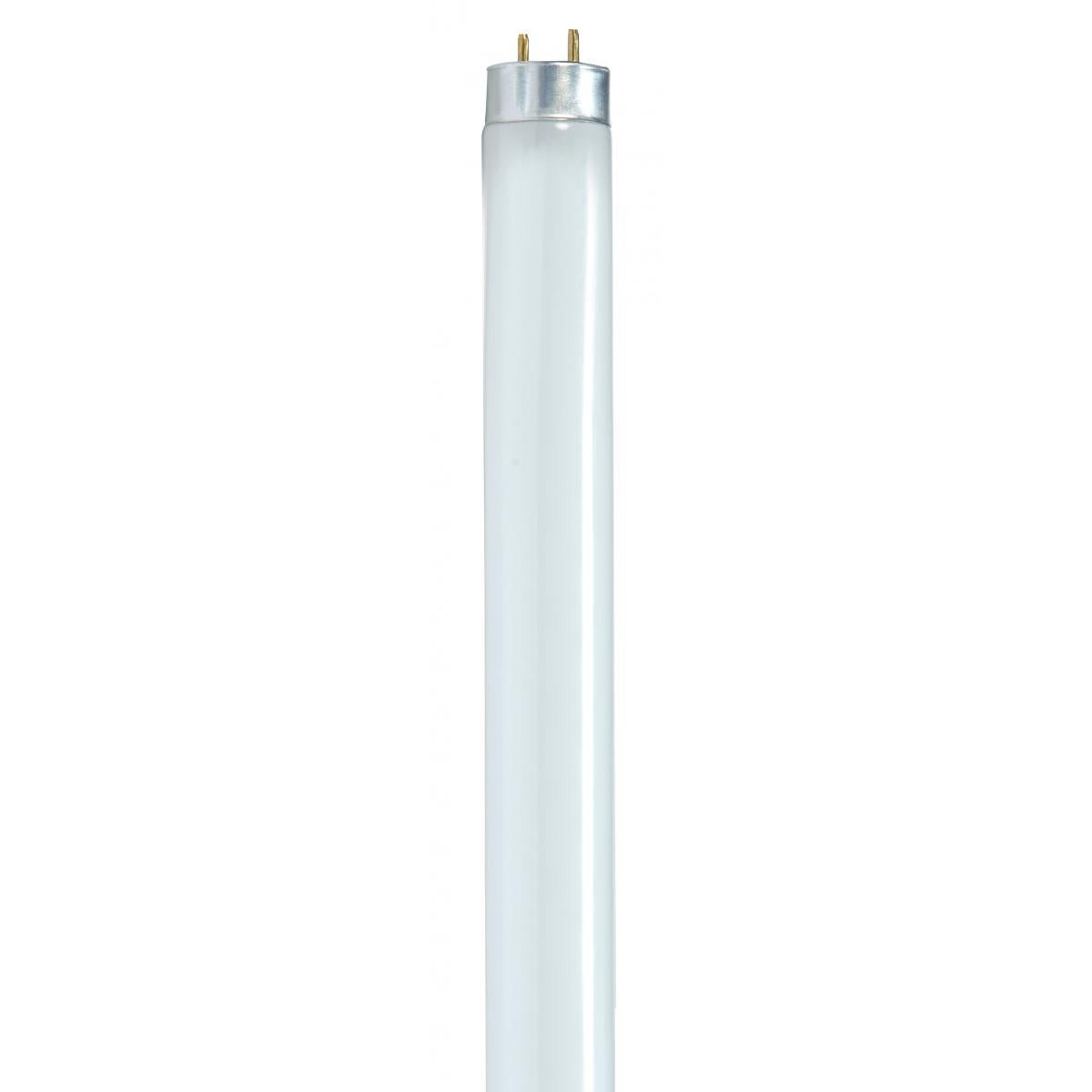 image of 25 Watt - T8 - Fluorescent - 4100K Cool White - 85 CRI - Medium Bi Pin base