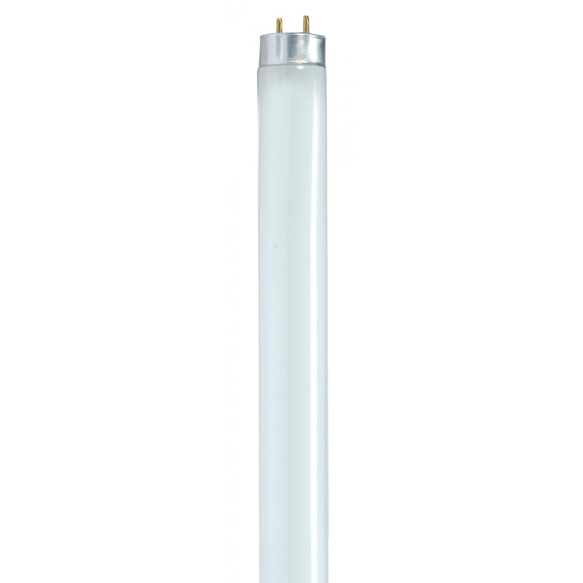 image of 32 Watt - T8 - Fluorescent - 3500K Neutral White - 85 CRI - Medium Bi Pin base