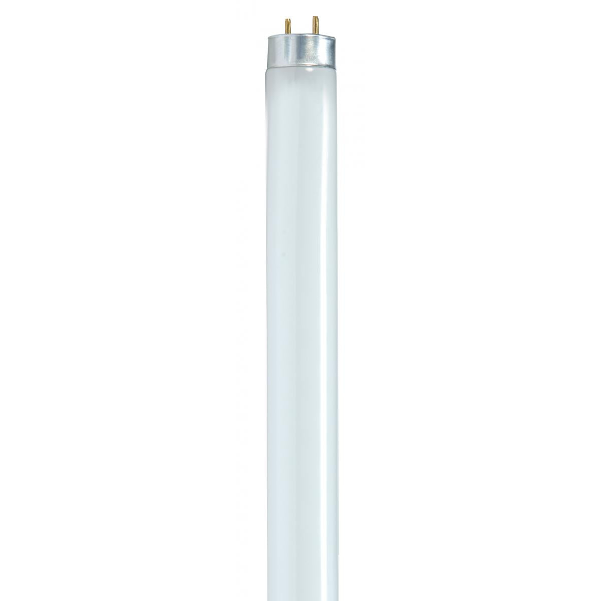 image of 32 Watt - T8 - Fluorescent - 3500K Neutral White - 85 CRI - Medium Bi Pin base