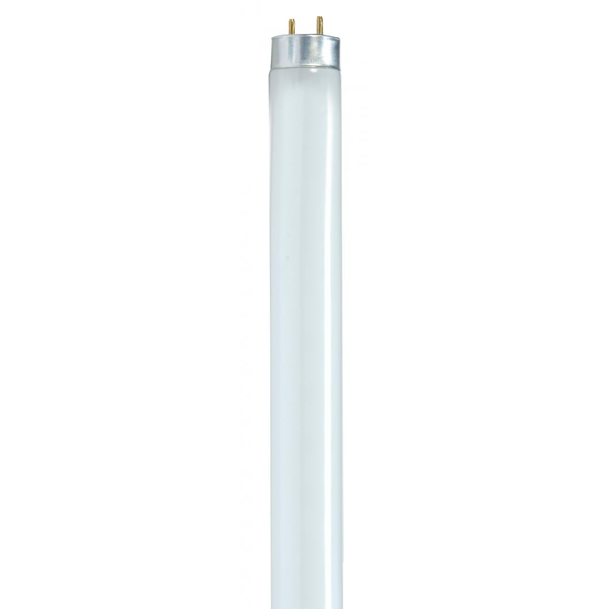 image of 32 Watt - T8 - Fluorescent - 6500K Daylight - 82 CRI - Medium Bi Pin base